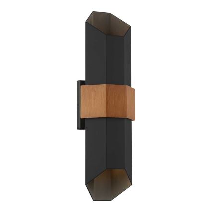 Quoizel - Lámpara de exterior LED CHASM 2xLED/9,5W/230V IP44