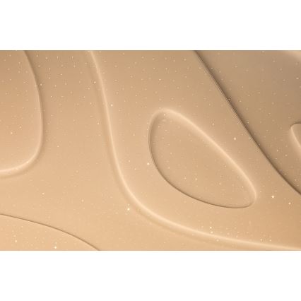 Rabalux - LED Plafón regulable a control remoto LED/50W/230V