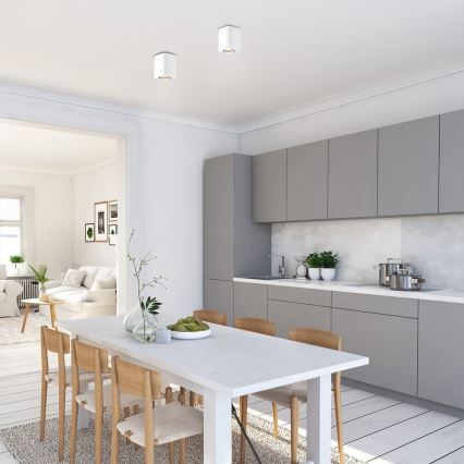 Rabalux - Foco 1xGU10/42W/230V blanco