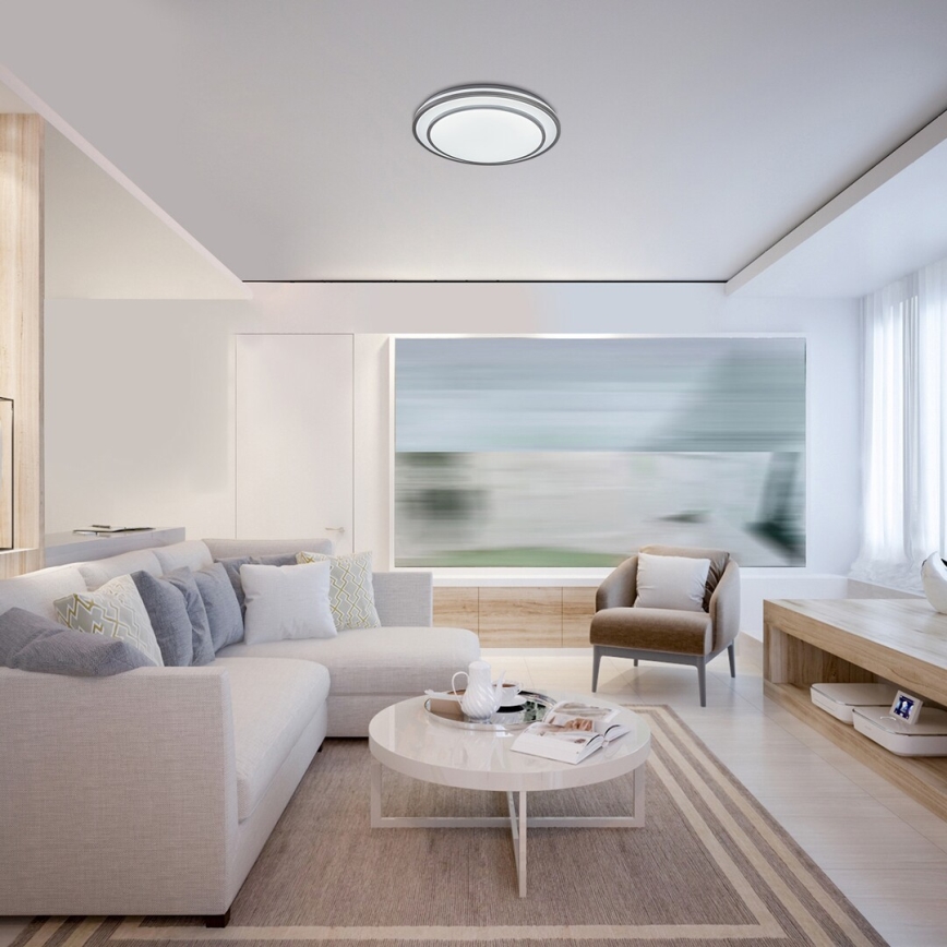 Rabalux - Lámpara LED de techo regulable LED/40W/230V 3000-6500K plateada Ø 49 cm + control remoto