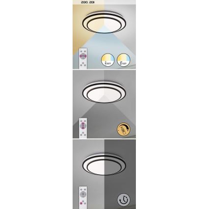 Rabalux - Lámpara LED de techo regulable LED/40W/230V 3000-6500K plateada Ø 49 cm + control remoto