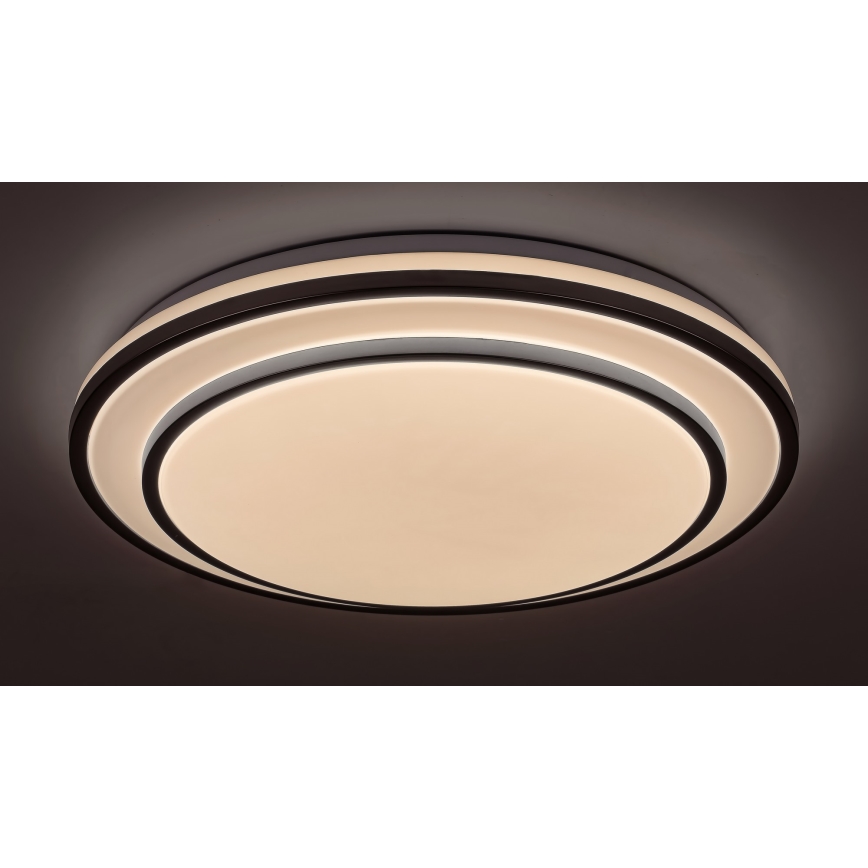 Rabalux - Lámpara LED de techo regulable LED/40W/230V 3000-6500K plateada Ø 49 cm + control remoto