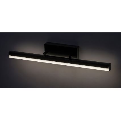 Rabalux - Lámpara LED para espejo de baño LED/12W/230V 49 cm IP44