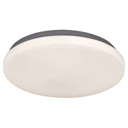 Rabalux - Plafón LED 1xLED/20W/230V diá. 29 cm
