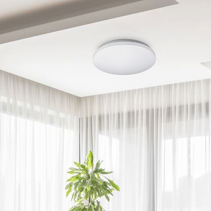 Rabalux - Plafón LED 1xLED/32W/230V diá. 38 cm