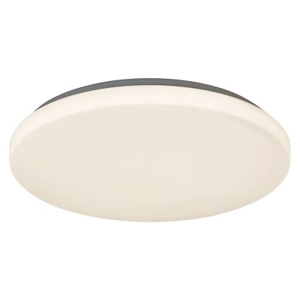 Rabalux - Plafón LED 1xLED/32W/230V diá. 38 cm