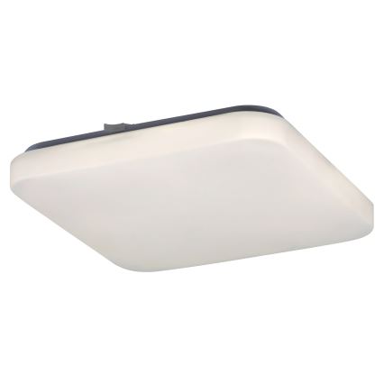 Rabalux - Plafón LED 1xLED/20W/230V 28x28 cm