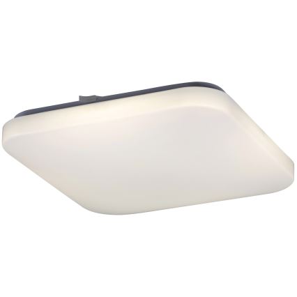 Rabalux - Plafón LED 1xLED/32W/230V 32x32 cm