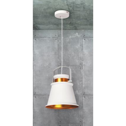 Rabalux 2571 - Lámpara colgante DUSAN E27/40W