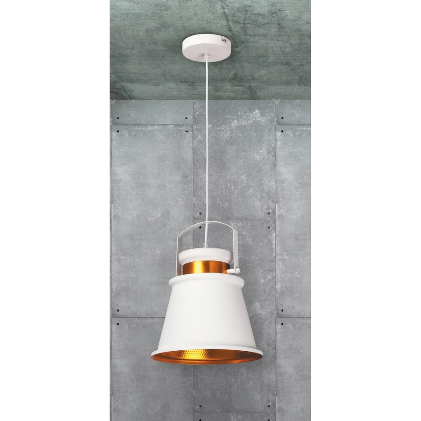 Rabalux 2571 - Lámpara colgante DUSAN E27/40W