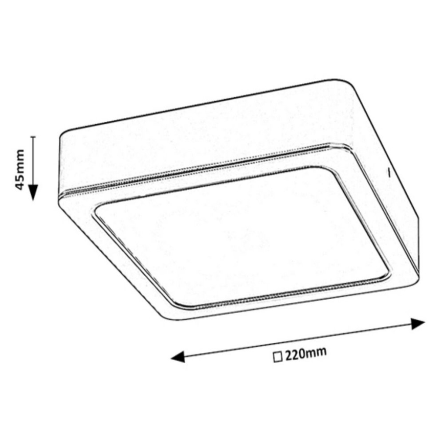 Rabalux - Plafón LED LED/24W/230V 22x22 cm