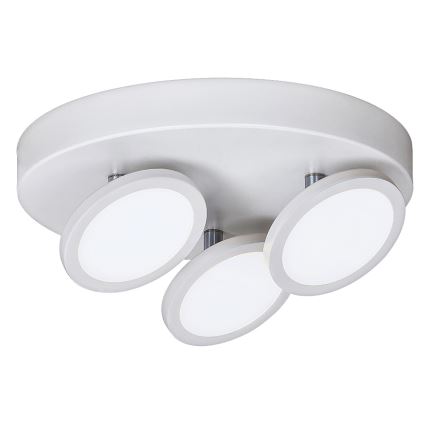 Rabalux - Plafón LED 3xLED/6W/230V blanco