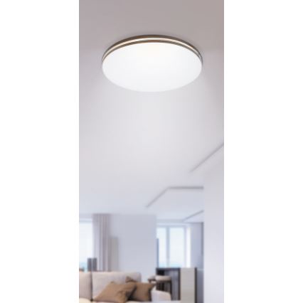 Rabalux - Plafón LED 1xLED/18W/230V, diámetro 35 cm