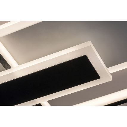 Rabalux - Lámpara de techo LED/50W/230V