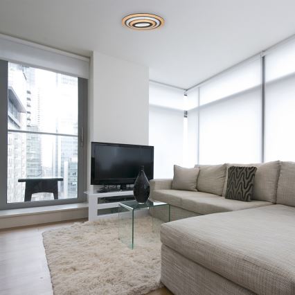 Rabalux - Luminaria de techo LED regulable LED/41W/230V + mando a distancia, diámetro 53 cm