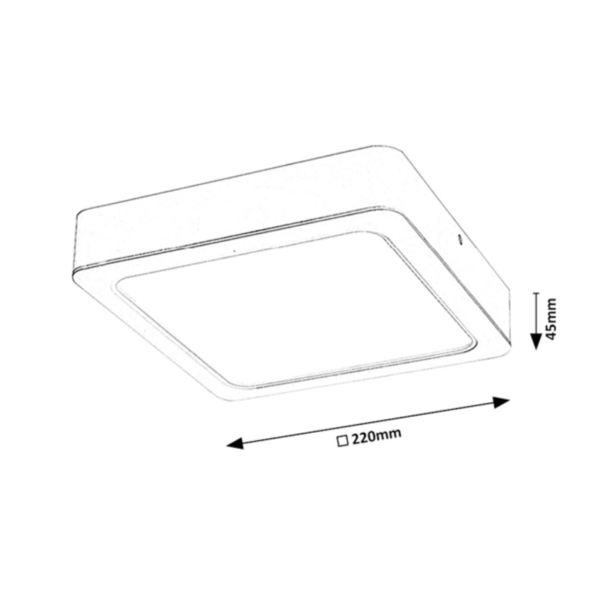Rabalux - Plafón LED LED/24W/230V 22x22 cm