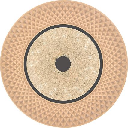 Rabalux - Plafón LED regulable 72W/230V 3000–6500K con mando a distancia Ø 48 cm