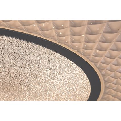 Rabalux - Plafón LED regulable 72W/230V 3000–6500K con mando a distancia Ø 48 cm