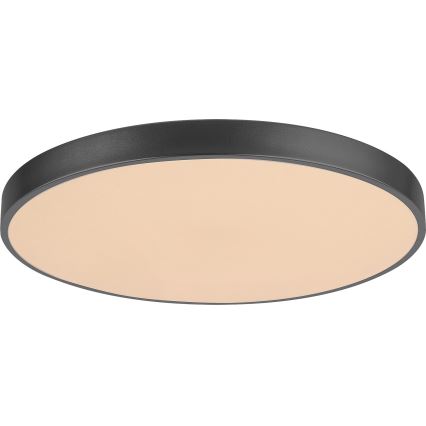 Rabalux - Plafón LED regulable LED/60W/230V 60 cm + control remoto