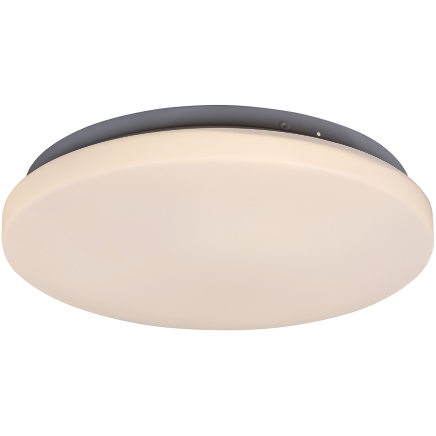 Rabalux - Plafón LED 1xLED/20W/230V diá. 29 cm