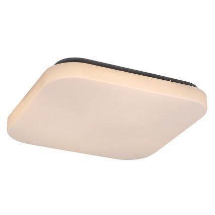 Rabalux - Plafón LED 1xLED/20W/230V 29x29 cm