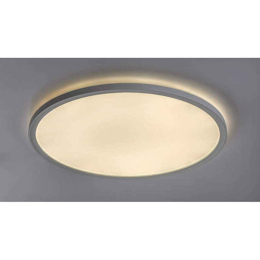 Rabalux 3428 - LED Plafón regulable PAVEL LED/22W/230V