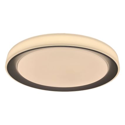Rabalux - Plafón LED RGB regulable LED/40W/230V 2700-6500K Wi-Fi Tuya, diámetro 51 cm + control remoto