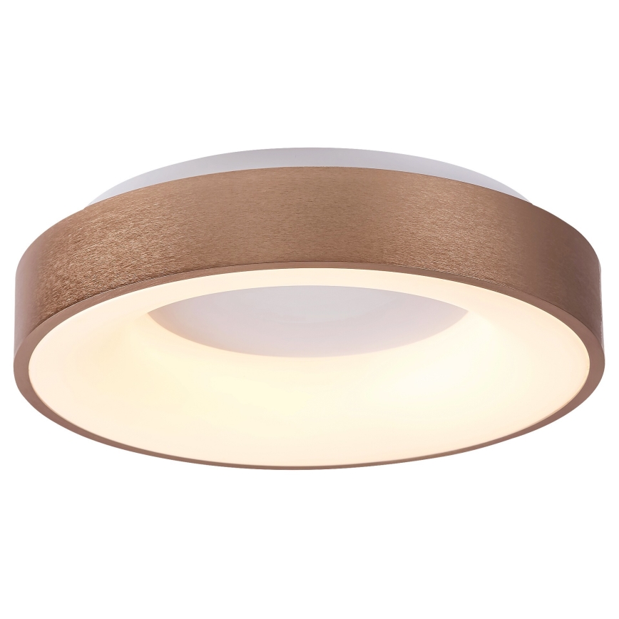 Rabalux 5052 - Plafón LED CARMELA LED/30W/230V