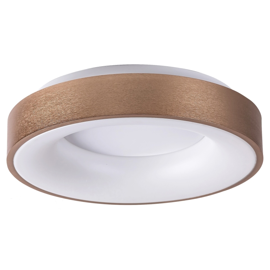 Rabalux 5052 - Plafón LED CARMELA LED/30W/230V
