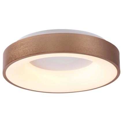 Rabalux 5053 - Plafón LED CARMELA LED/50W/230V