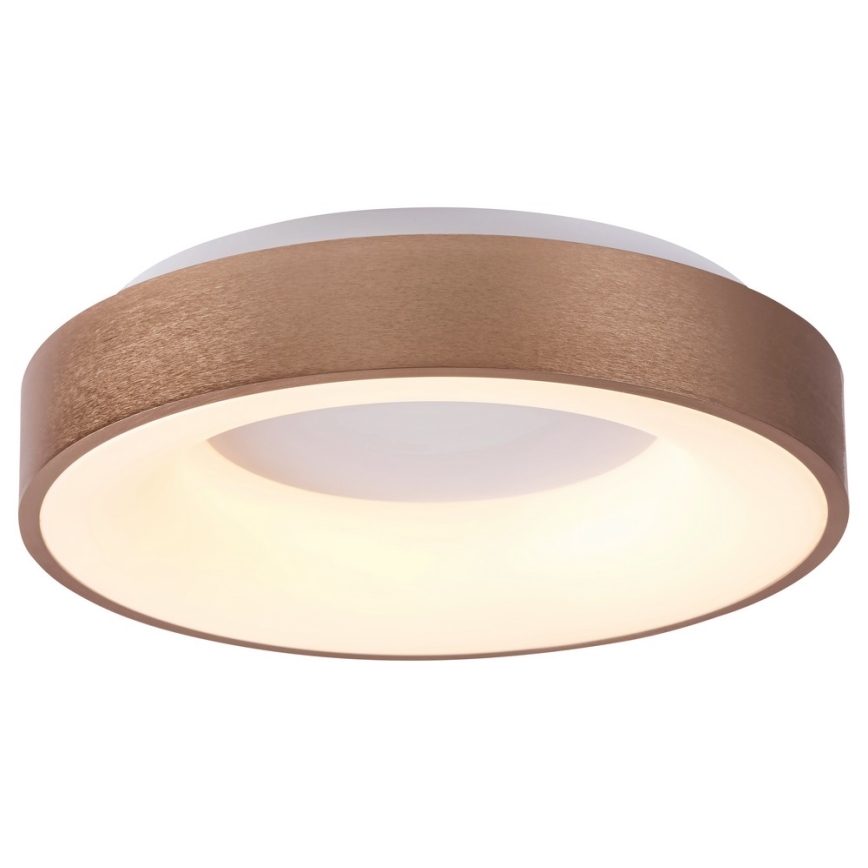 Rabalux 5053 - Plafón LED CARMELA LED/50W/230V