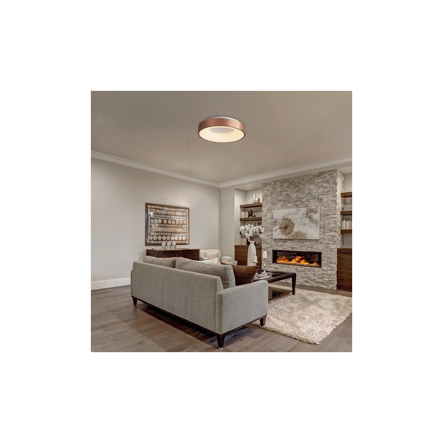 Rabalux 5053 - Plafón LED CARMELA LED/50W/230V