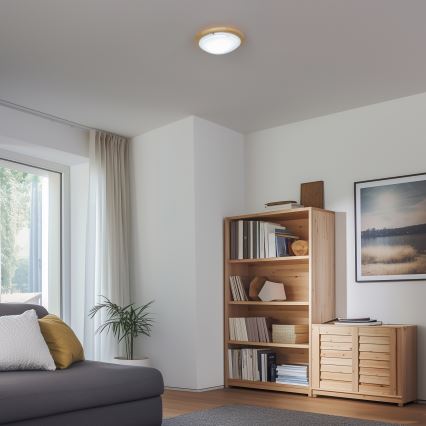 Rabalux - Plafón 1xE27/60W/230V diá. 30 cm