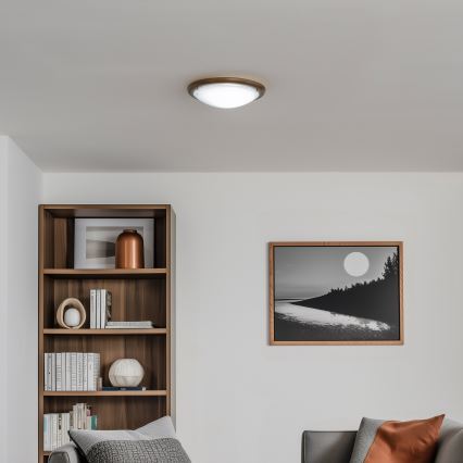 Rabalux - Plafón 1xE27/60W/230V diá. 30 cm