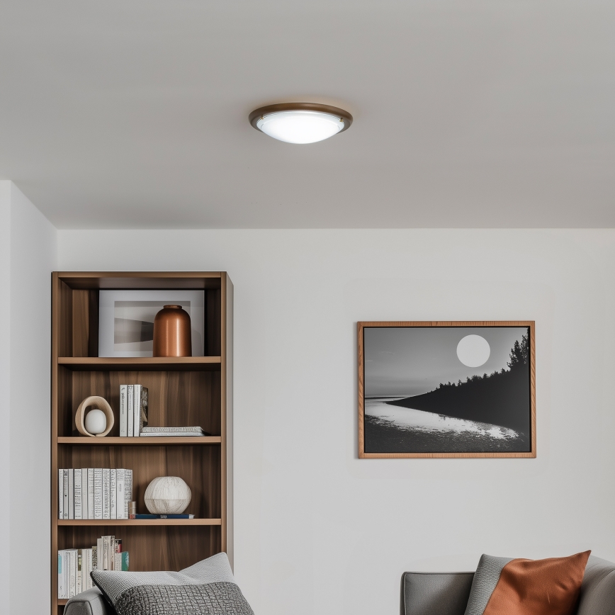 Rabalux - Plafón 1xE27/60W/230V diá. 30 cm