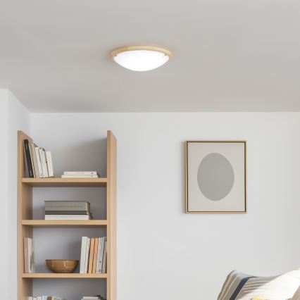 Rabalux - Plafón 2xE27/60W/230V diá. 38 cm