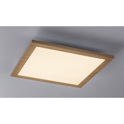 Rabalux - Panel LED montado en superficie LED/12W/230V 4000K