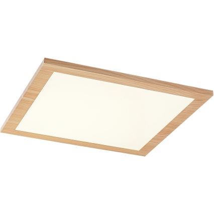 Rabalux - Panel LED montado en superficie LED/12W/230V 4000K