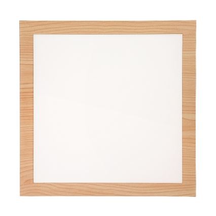 Rabalux - Panel LED montado en superficie LED/12W/230V 4000K