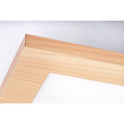 Rabalux - Panel LED montado en superficie LED/12W/230V 4000K