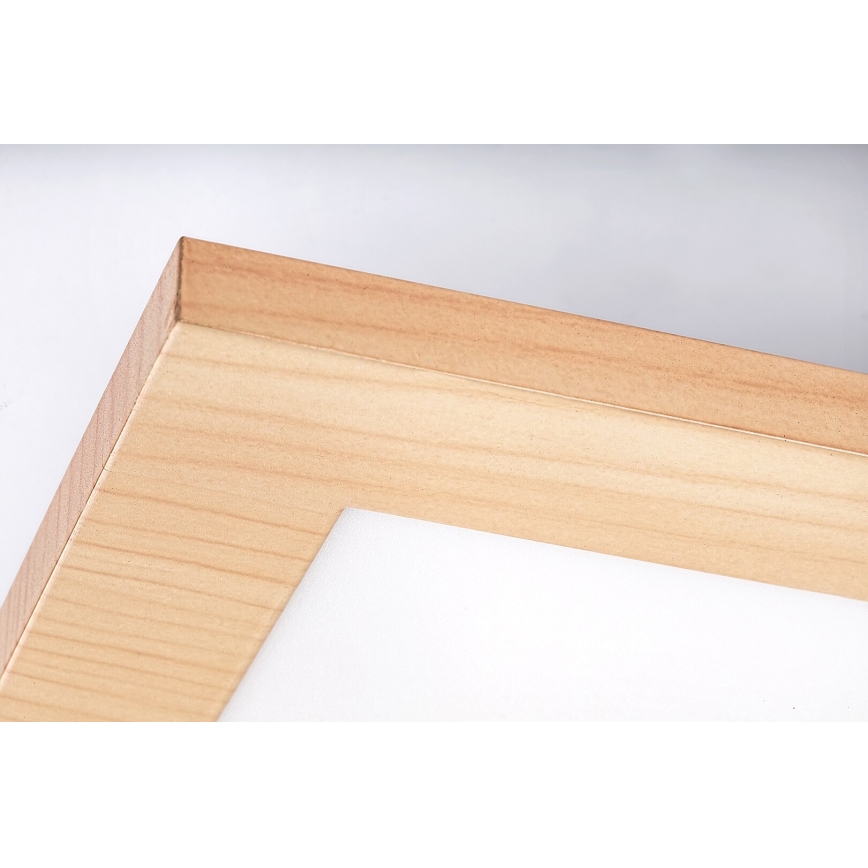Rabalux - Panel LED montado en superficie LED/12W/230V 4000K