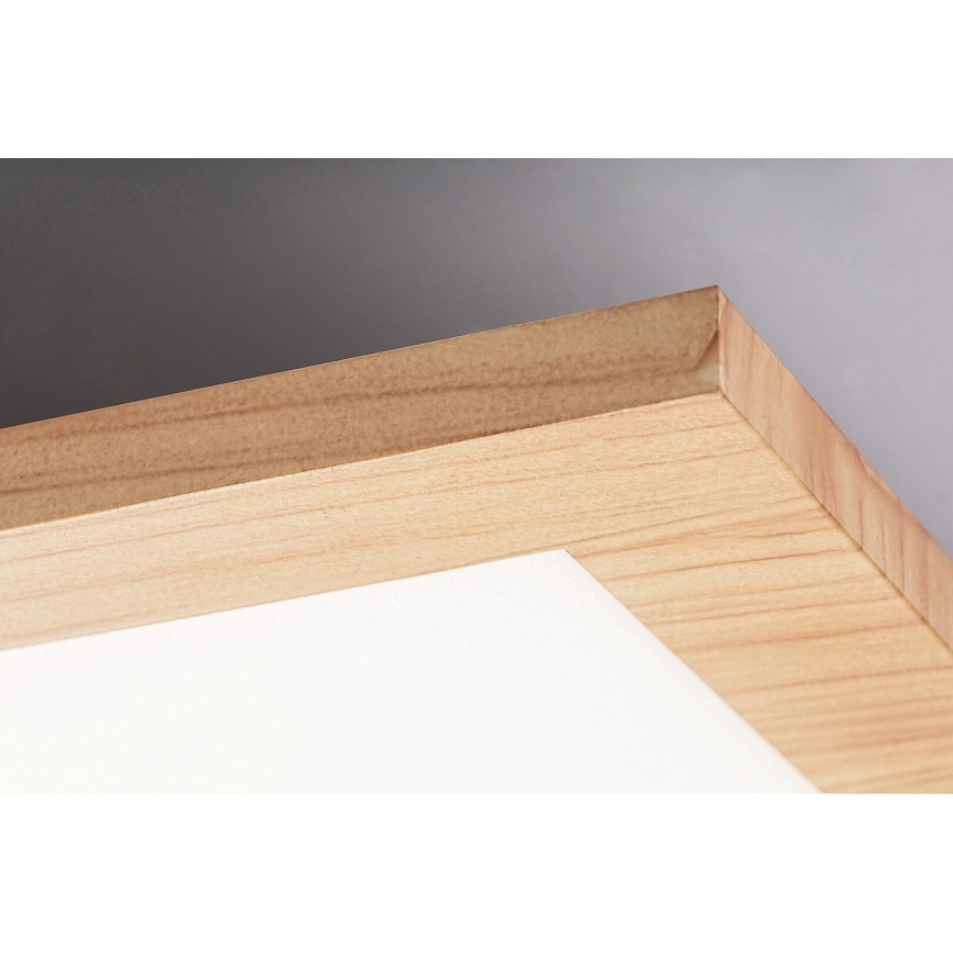 Rabalux - Panel LED fijo LED/40W/230V 4000K