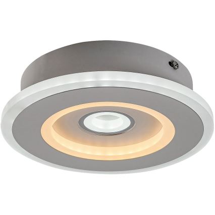 Rabalux - Lámpara de techo LED/20 W/230 V 3000/4000/6000 K Ø 20 cm