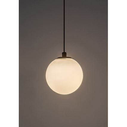 Rabalux - Lámpara de araña LED para sistema de riel monofásico LED/5W/24V 3000K negro