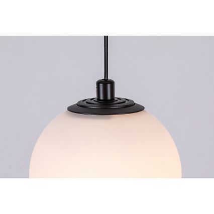 Rabalux - Lámpara de araña LED para sistema de riel monofásico LED/5W/24V 3000K negro