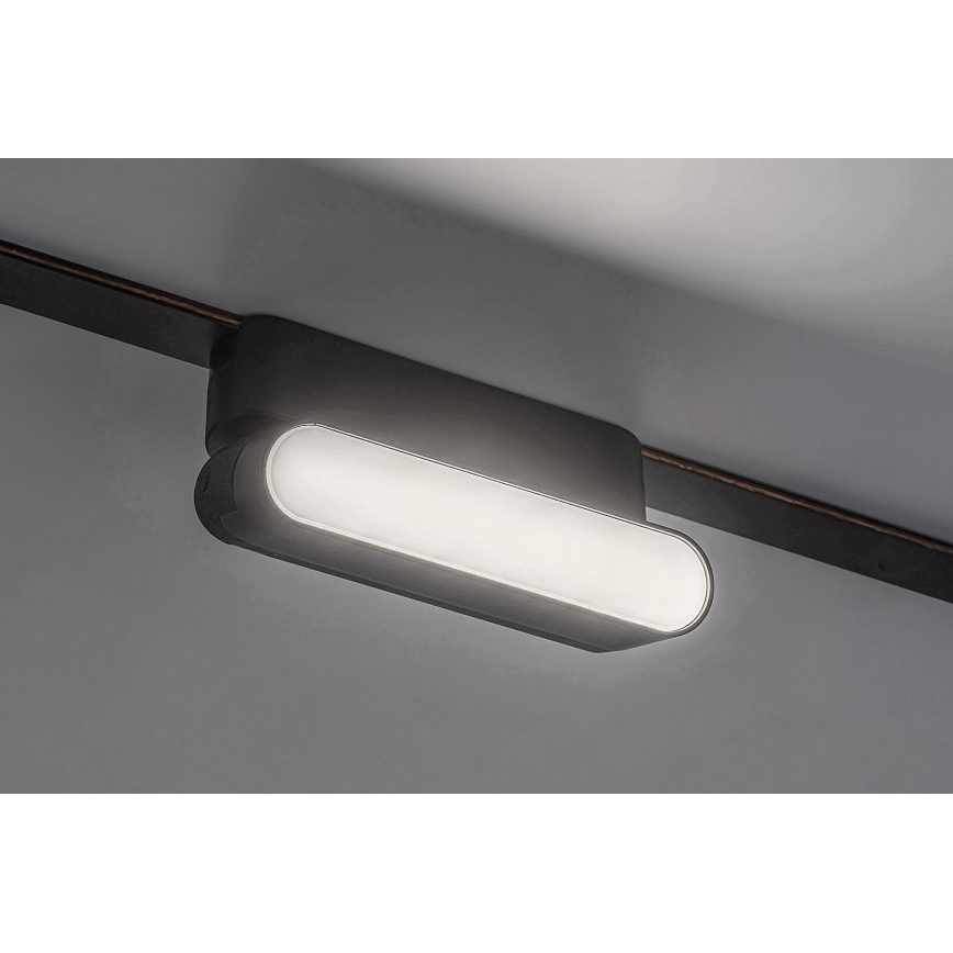 Rabalux - LED Plafón para sistema de raíles monofásico LED/6W/24V 4000K 11,5 cm negro