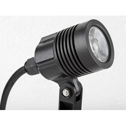 Rabalux - Lámpara LED de exterior LED/3W/230V IP65