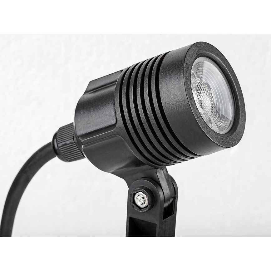 Rabalux - Lámpara LED de exterior LED/3W/230V IP65