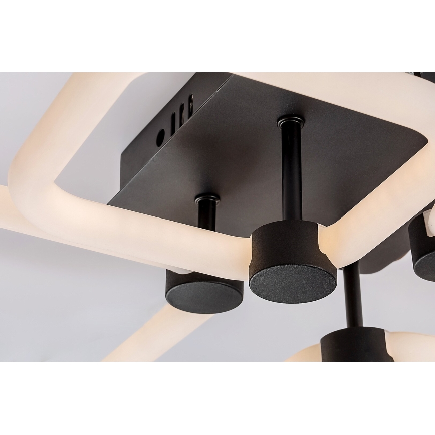 Rabalux - Plafón LED regulable LED/47W/230V 3000/4000/6000K + control remoto