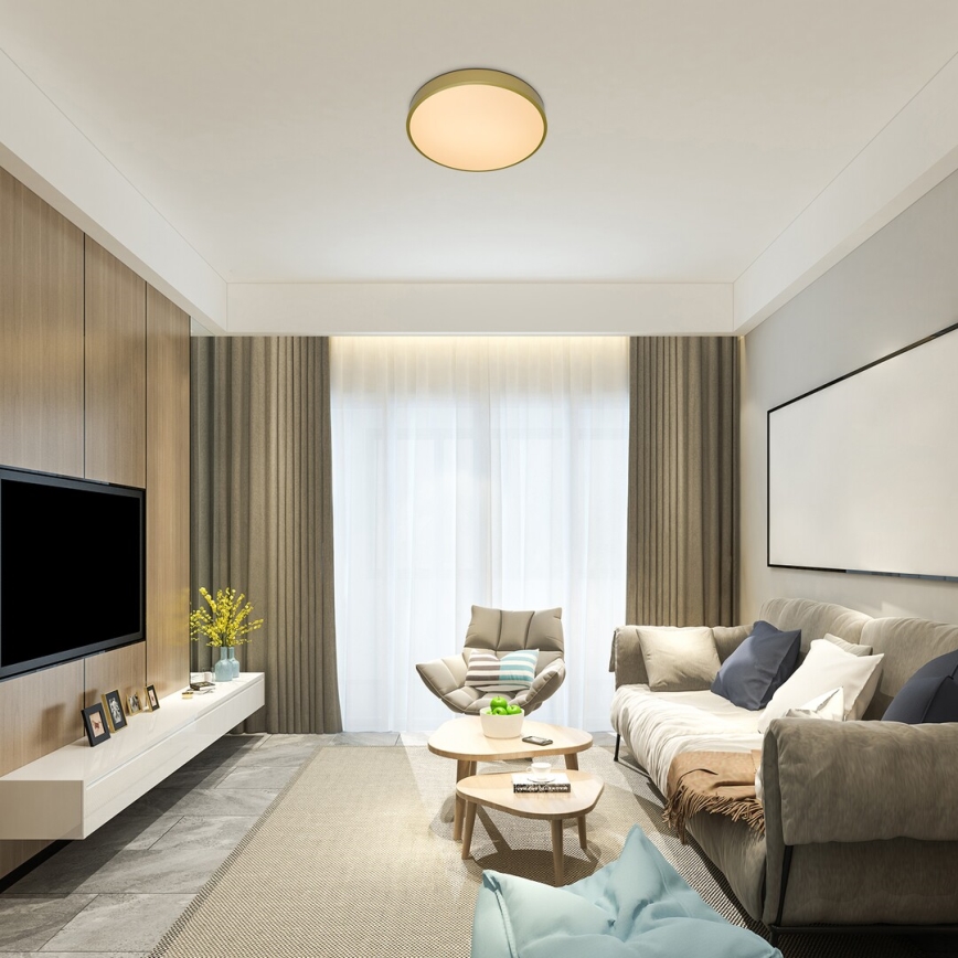 Rabalux - Lámpara de techo LED regulable LED/60W/230V 3000-6000K + control remoto diámetro 60 cm